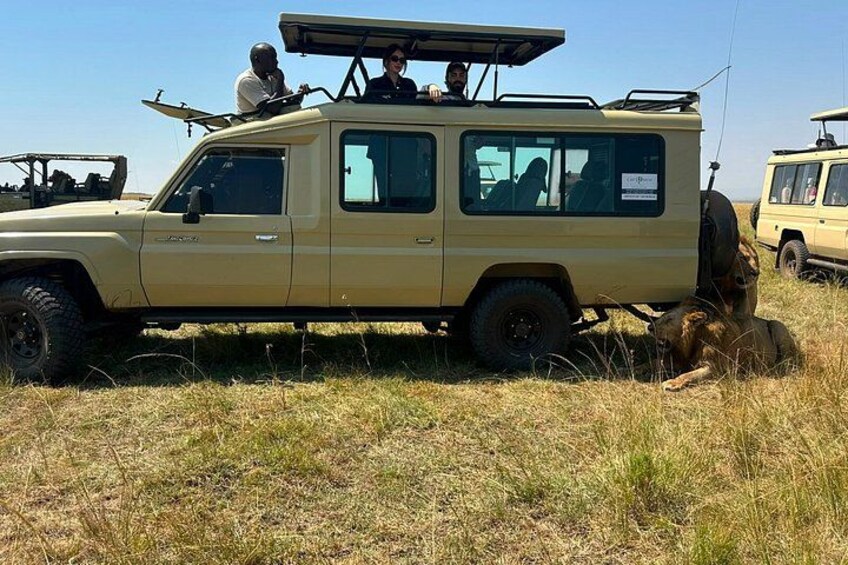 Nairobi 3 Day Maasai Mara Group Safari With a 4*4 Vehicle 5