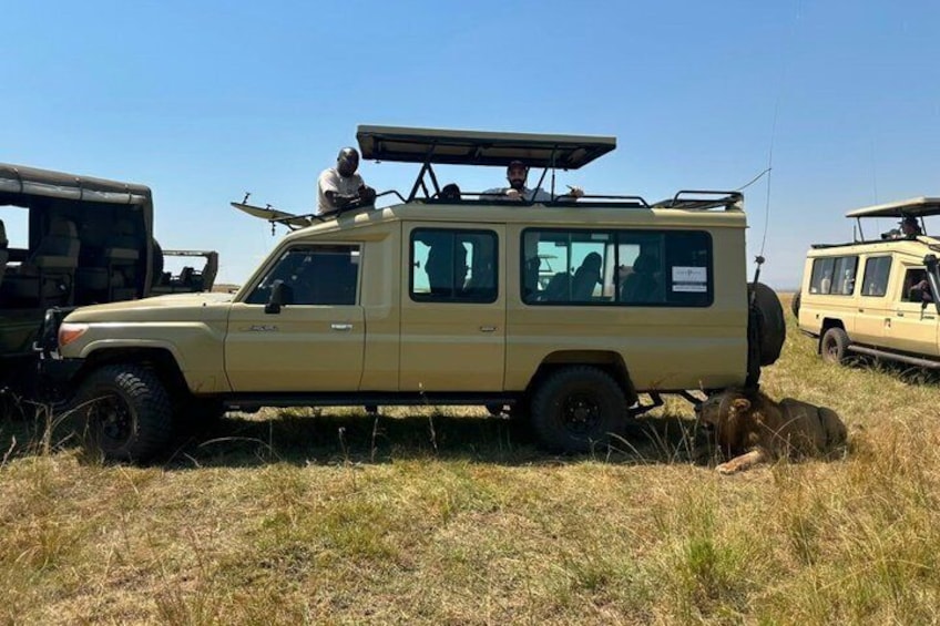 Nairobi: 3 Day Maasai Mara Group Safari With Overnight Camp 2