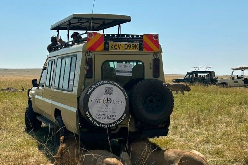 Nairobi: 3 Day Maasai Mara Group Safari With Overnight Camp 4
