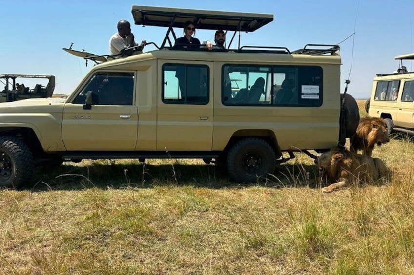 Nairobi: 3 Day Maasai Mara Group Safari With Overnight Camp 1