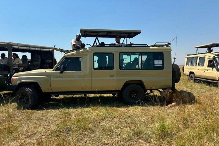 Nairobi 3 Day Maasai Mara Group Safari With a 4*4 Vehicle 3