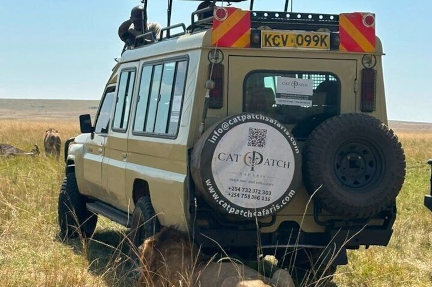 Nairobi: 3 Day Maasai Mara Group Safari With Overnight Camp 3