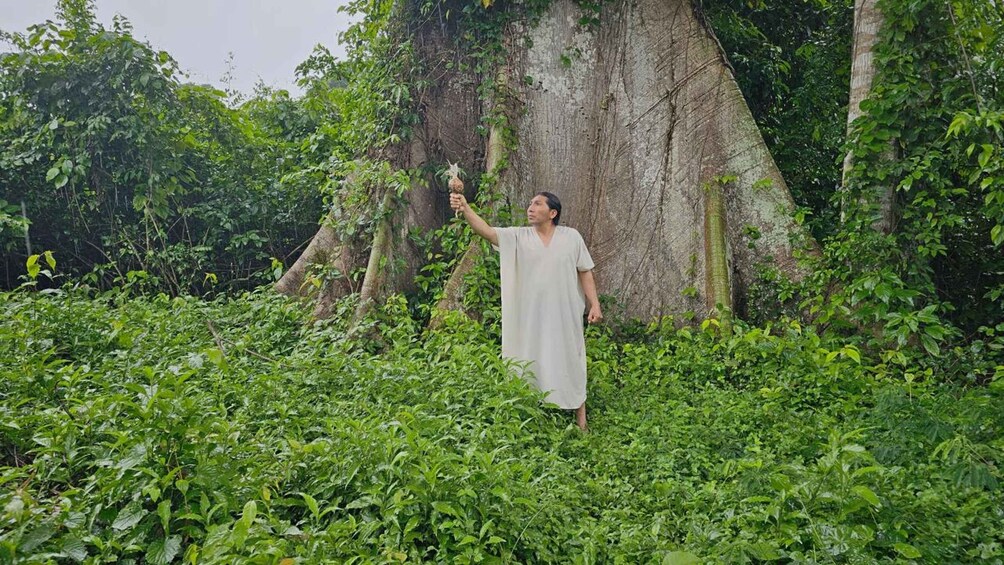 A person in a white dress standing in a lush green field with a large tree in the background. 4