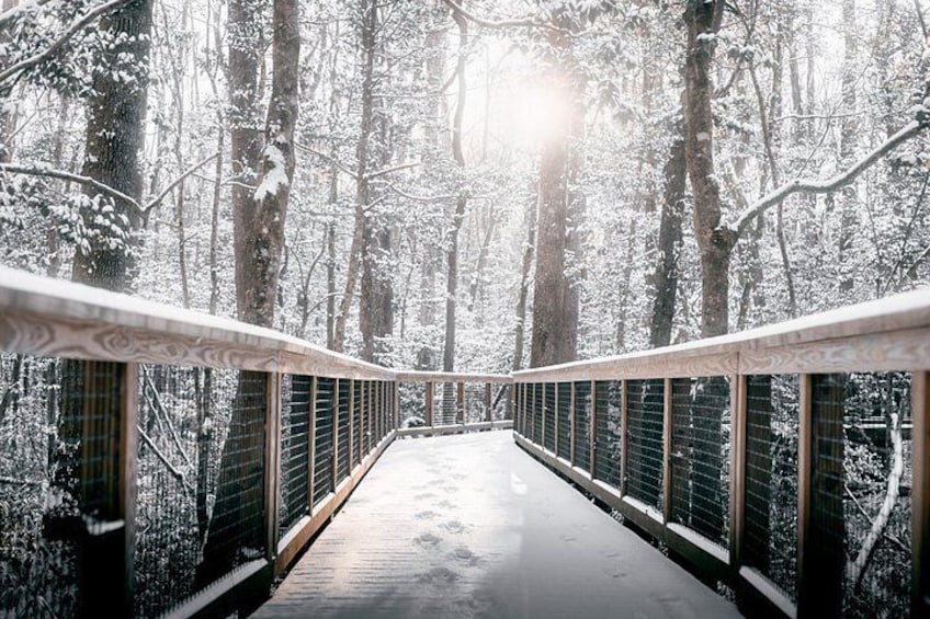 A wooden bridge in a snowy forest. 2