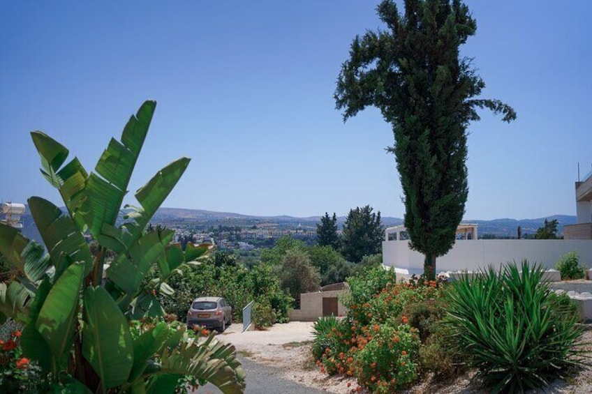 Un jardin résidentiel agrémenté de bananiers, d’un grand arbre, et offrant une vue sur le paysage urbain en arrière-plan. 4