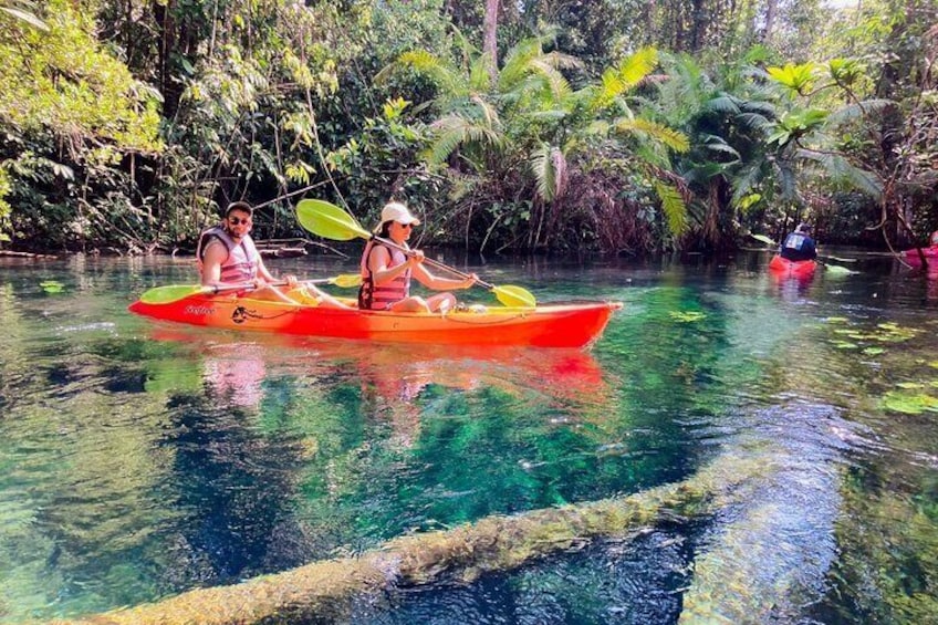 Two people kayaking on a clear river surrounded by dense tropical vegetation. 1