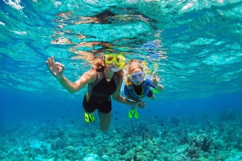 Sharm El Sheikh: Ras Mohammed Snorkeling & Top Sights 3