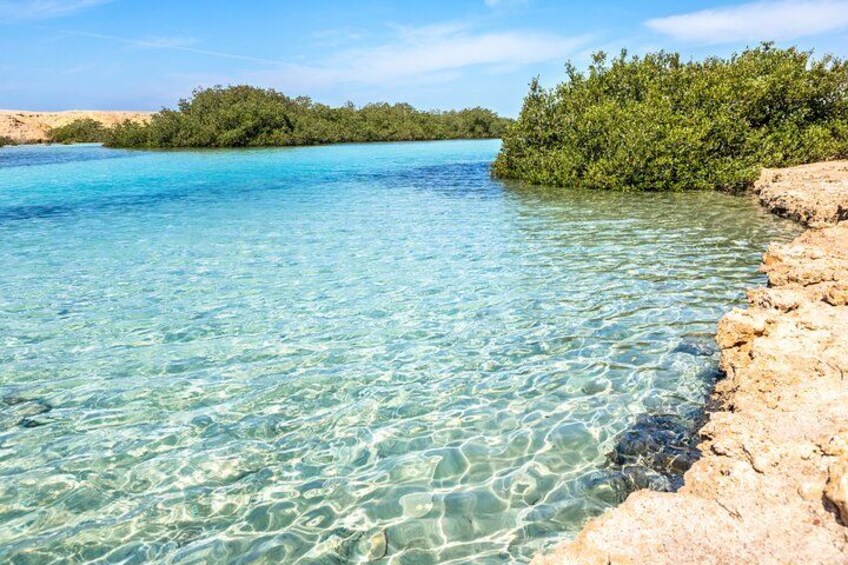 A clear turquoise sea, rocky shoreline, and dense green foliage. 2