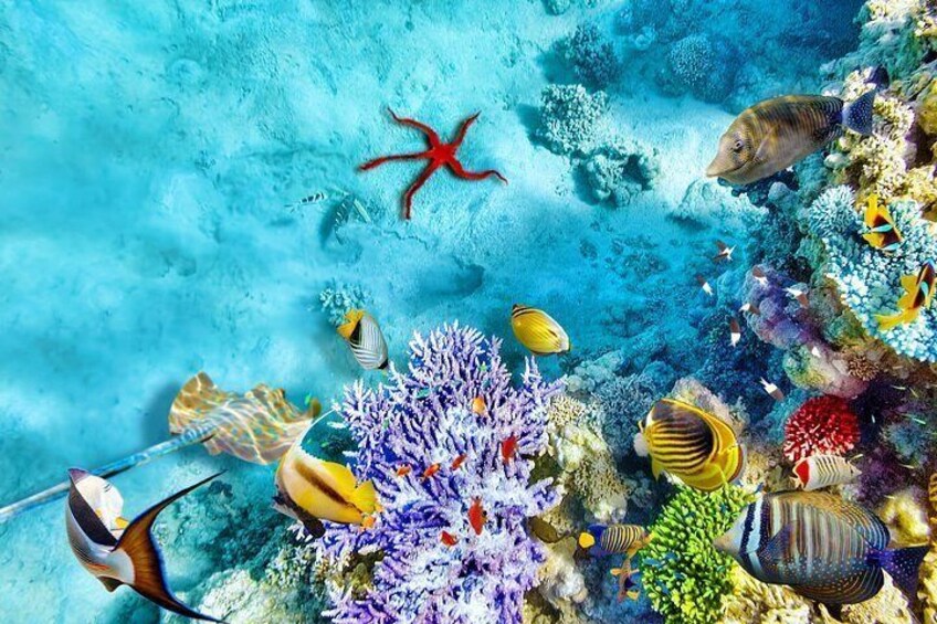 Sharm El Sheikh: Ras Mohammed Snorkeling, Allah Gate & Top Sights 3