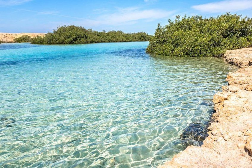 Une mer d’un bleu turquoise éclatant, une côte rocheuse et une végétation luxuriante. 3