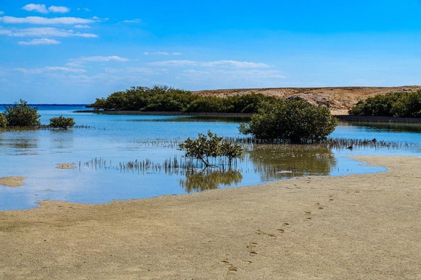 Een zandstrand met voetafdrukken die leiden naar kalm water, omringd door weelderige begroeiing en een helderblauwe lucht. 2
