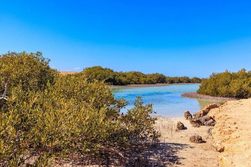 Een kustlandschap met weelderige begroeiing, een zandstrand en rustig water. 5