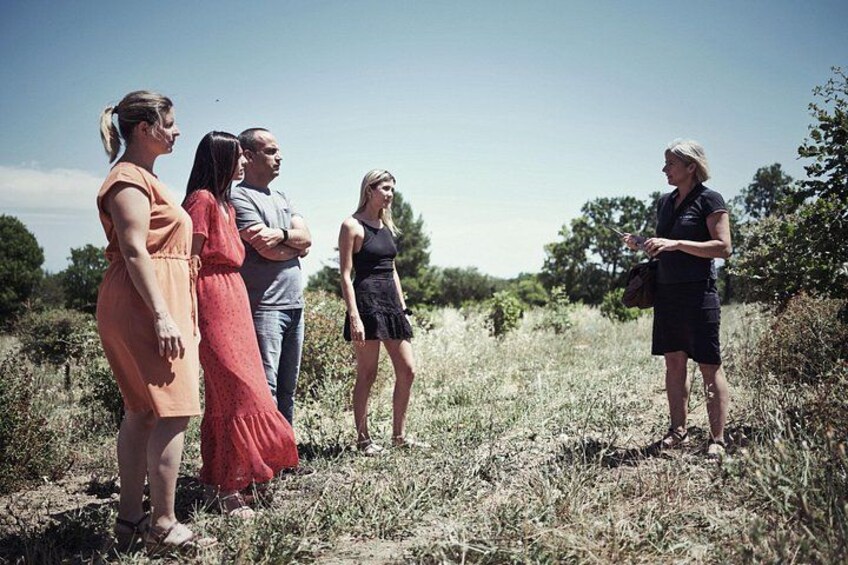 A group of people standing in a field with trees and shrubs in the background. 2
