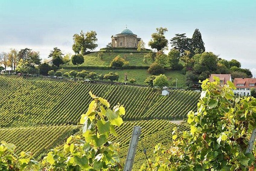 A vineyard with rows of grapevines, a hill with a building, and trees in the background. 3