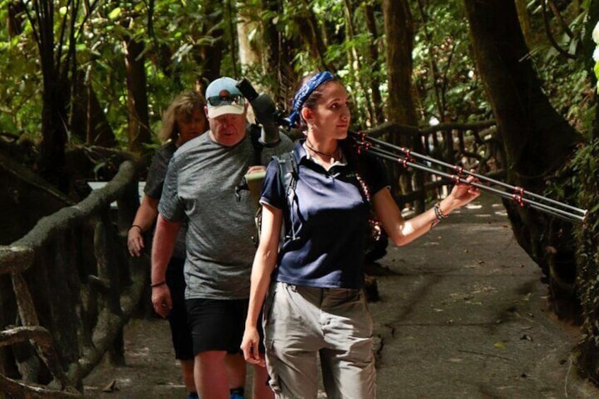 Mistico Arenal Hanging Bridges 5