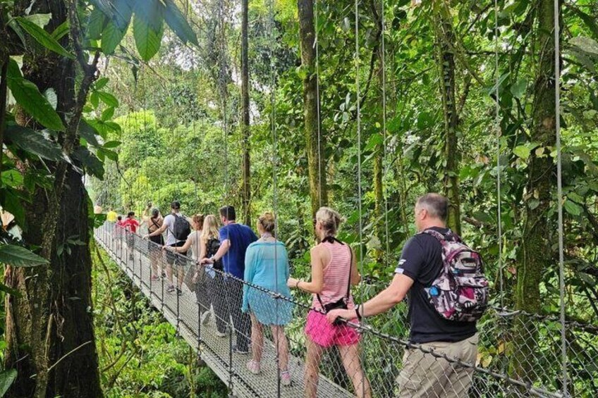 Mistico Arenal Hanging Bridges 2