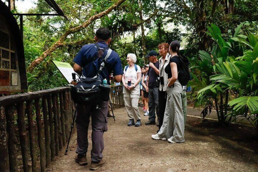 Mistico Arenal Hanging Bridges 2