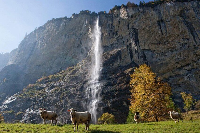 A waterfall, rocky cliffs, and grazing sheep. 2
