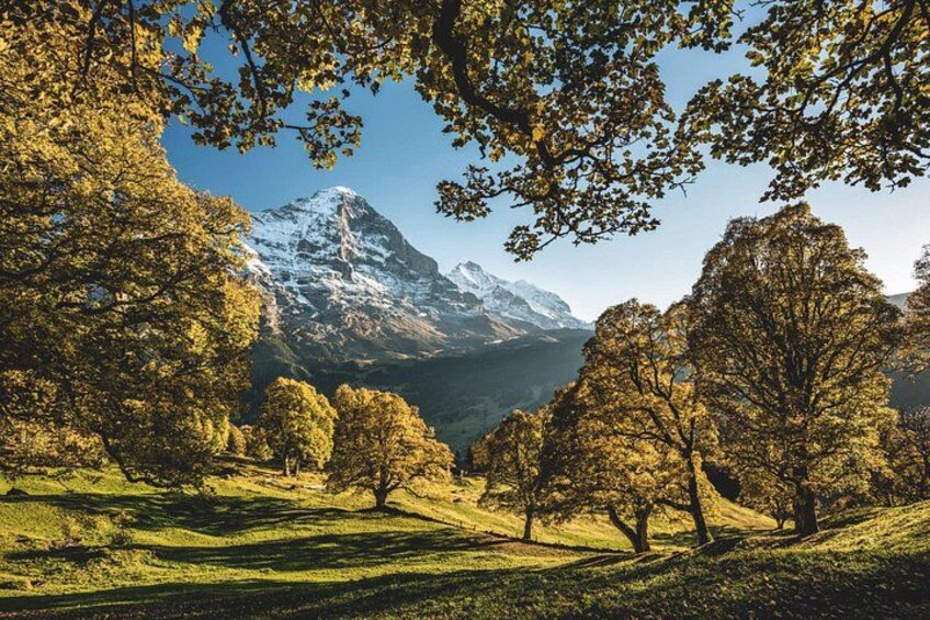 A mountainous landscape with trees and a clear sky. 5