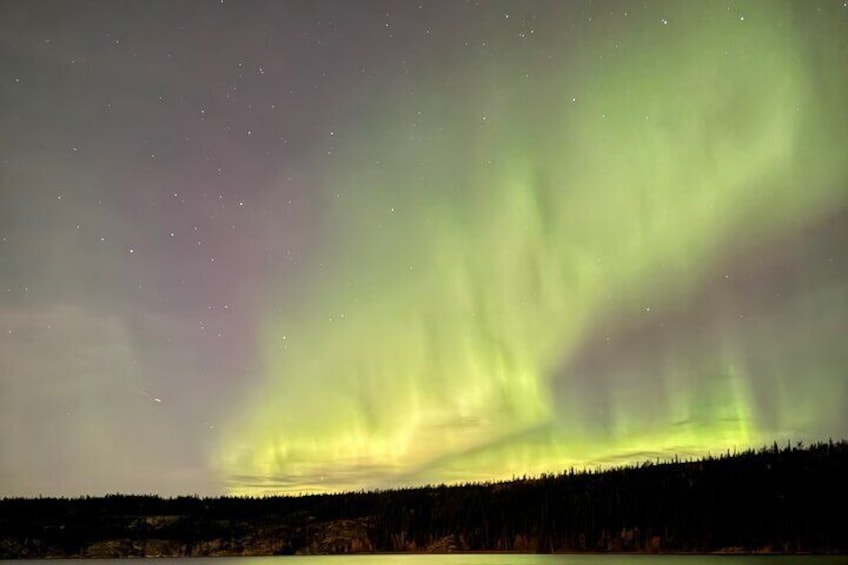 Nordlichter über einer bewaldeten Landschaft. 5
