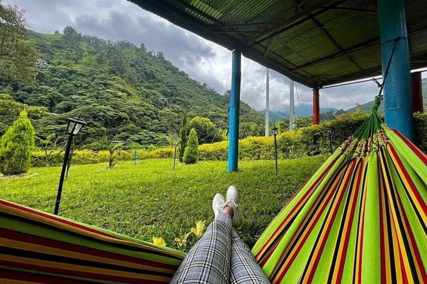 A hammock under a roof, a person relaxing, and a lush green landscape with hills. 3