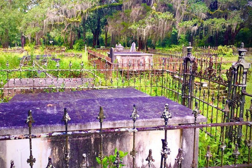 A cemetery with ornate iron fences and tombstones, surrounded by lush greenery. 2