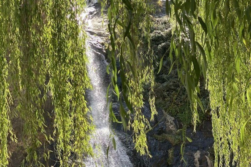Ourika Valley & Atlas Mountains Day Trip from Marrakech 3