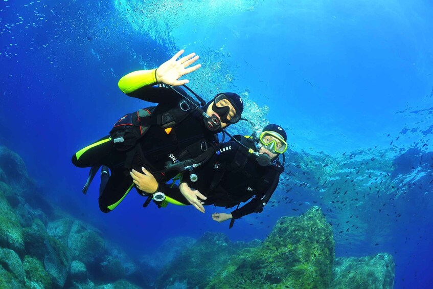 Calvi/Lumio : Introductory scuba dive with an instructor 4