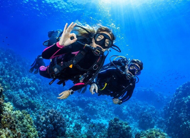 Picture 1 for Activity Calvi/Lumio : Introductory scuba dive with an instructor 3