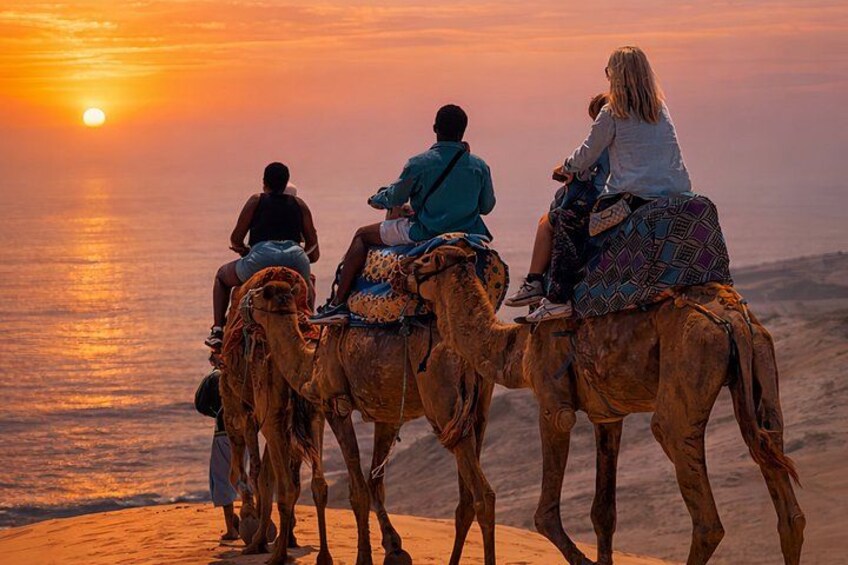 Personas montando camellos en una playa al atardecer. 4