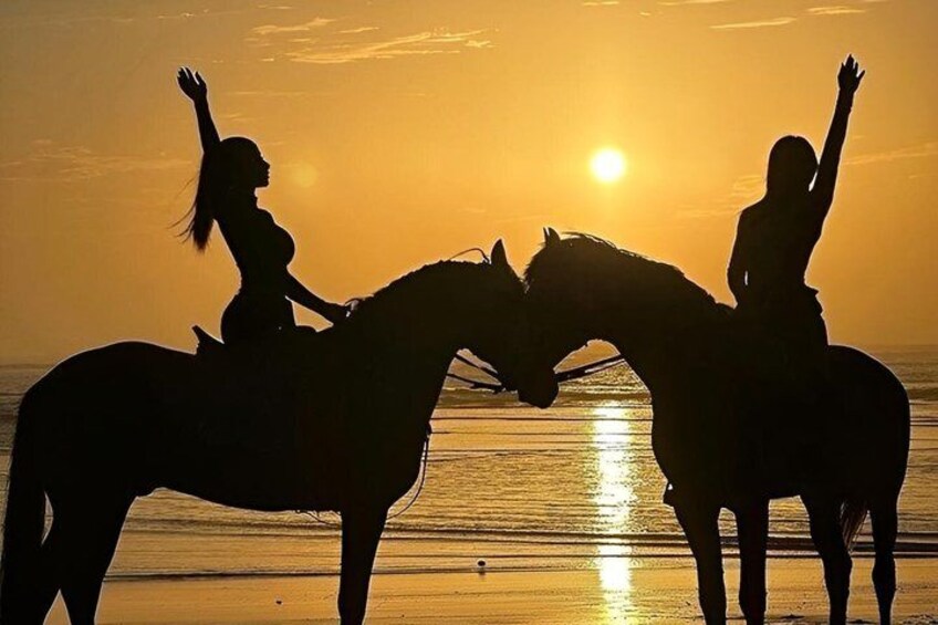 Taghazout Beach Horseback Riding 4