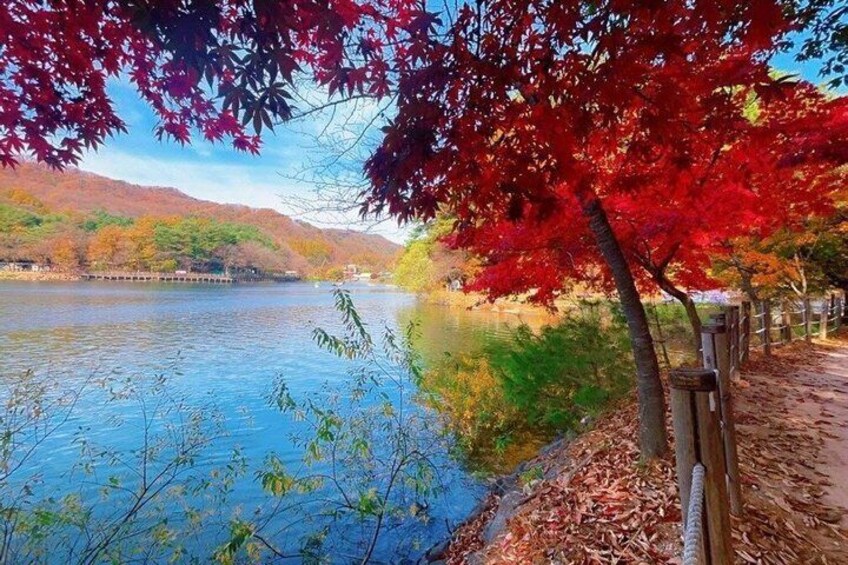 A lake with autumn foliage, a wooden fence, and a distant hill. 3