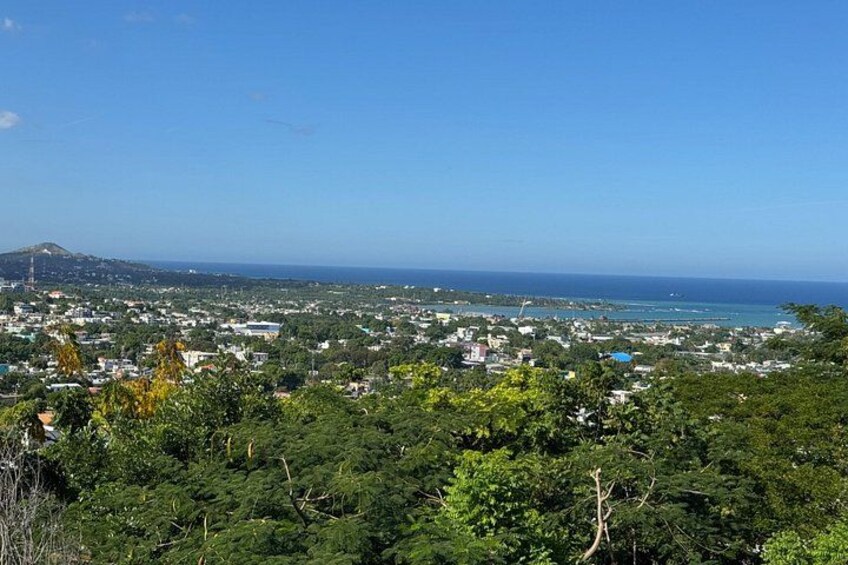 A coastal cityscape with dense greenery in the foreground and a clear view of the ocean and distant mountains. 2
