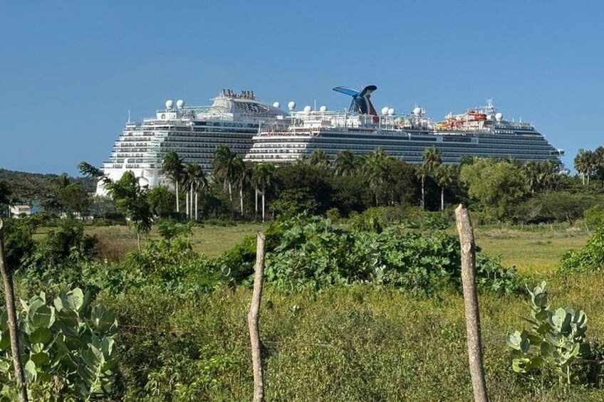 A large cruise ship docked near a coastline with lush greenery and palm trees in the foreground. 3