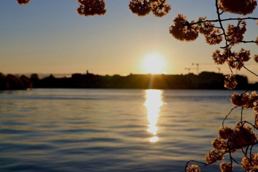 A sunset over a calm body of water with reflections of the sun, silhouetted buildings, and a tree branch with dried leaves in the foreground. 2