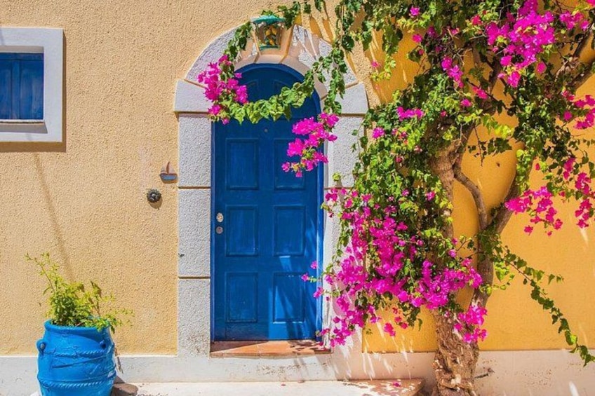 Une porte bleue ornée de fleurs roses, une plante en pot et un mur jaune. 1