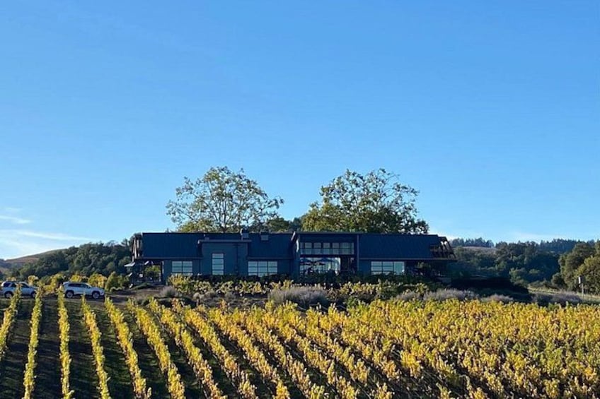 A modern building with a vineyard in the foreground. 4