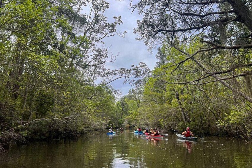 Un río con kayaks y gente remando. 1