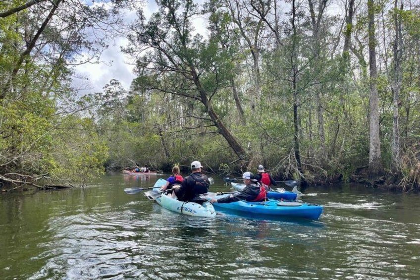 People kayaking on a river surrounded by trees. 2