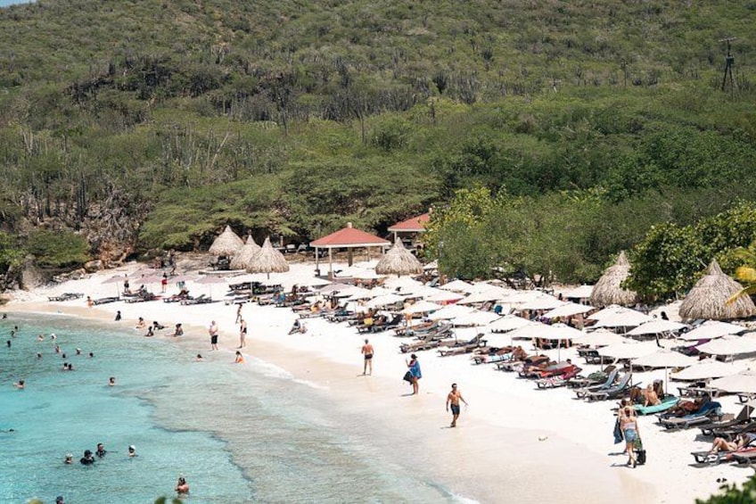 Curaçao Green Escape: Caves, Turtles & Beaches 1