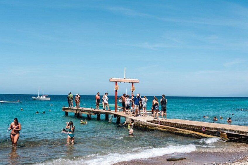 Curaçao Green Escape: Caves, Turtles & Beaches 3