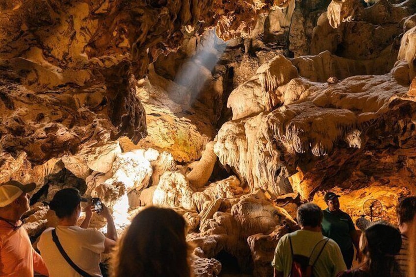 Curaçao Full-Day Tour: Hato Caves, Turtles, Kenepa & Flamingos 5