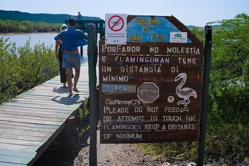 Curaçao Full-Day Tour: Hato Caves, Turtles, Kenepa & Flamingos 3