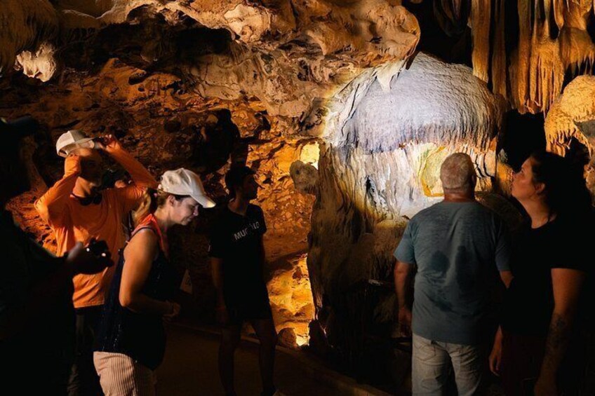 Curaçao Full-Day Tour: Hato Caves, Turtles, Kenepa & Flamingos 4