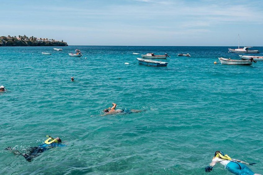 Curaçao Green Escape: Caves, Turtles & Beaches 5