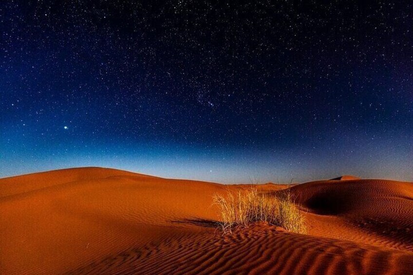 Doha Night Desert Safari with Dune Bashing,Stargazing & Adventure 4