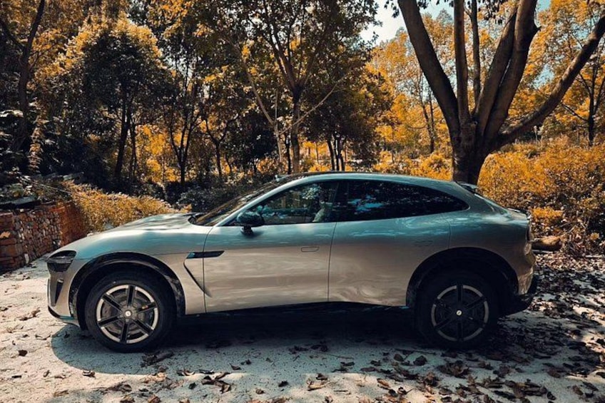 Een zilveren auto geparkeerd op een grindpad, omgeven door herfstkleurige bladeren. 5