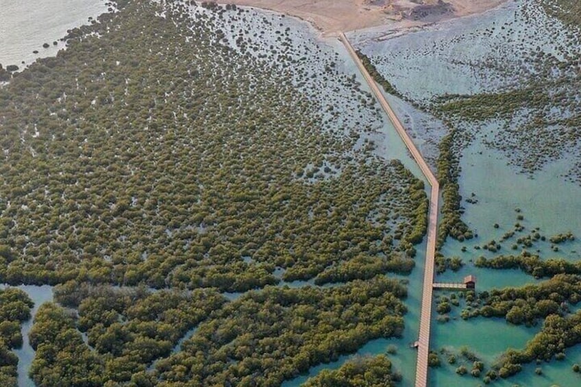 Discover North Qatar: Heritage & Coastline Half Day Tour 5