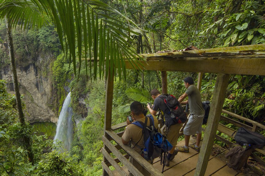 Bird Watching tour la Fortuna