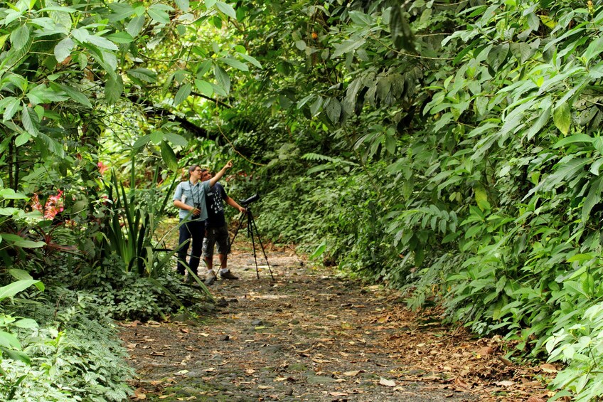 Bird Watching tour la Fortuna